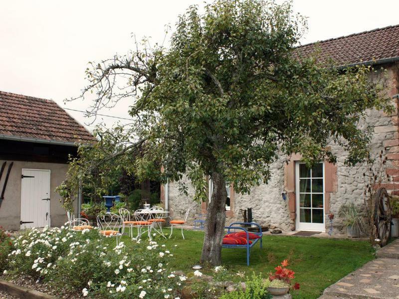 La Grange Au Tracteur Villa Saulcy-sur-Meurthe Екстериор снимка